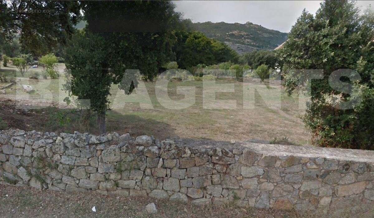 Design sans titre (29) - Terrain à CALVI