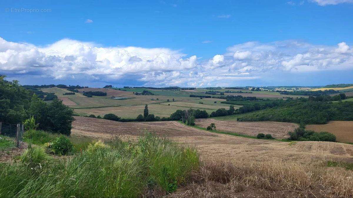 Terrain à BEAUMONT-DE-LOMAGNE