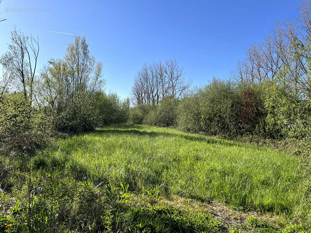 Terrain à LE PERRIER