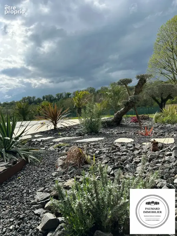 Jardin paysagé  et sa rocaille 
