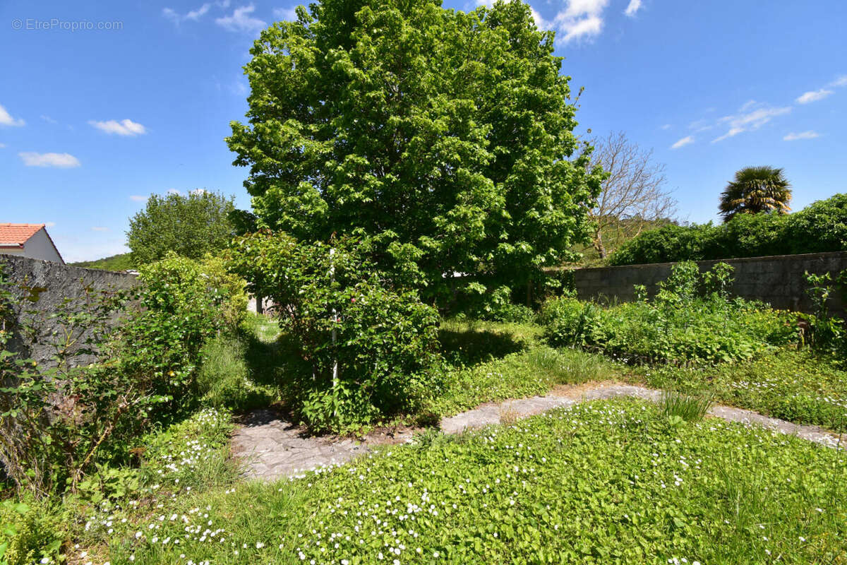 DSC_0010 - Maison à LA COURONNE