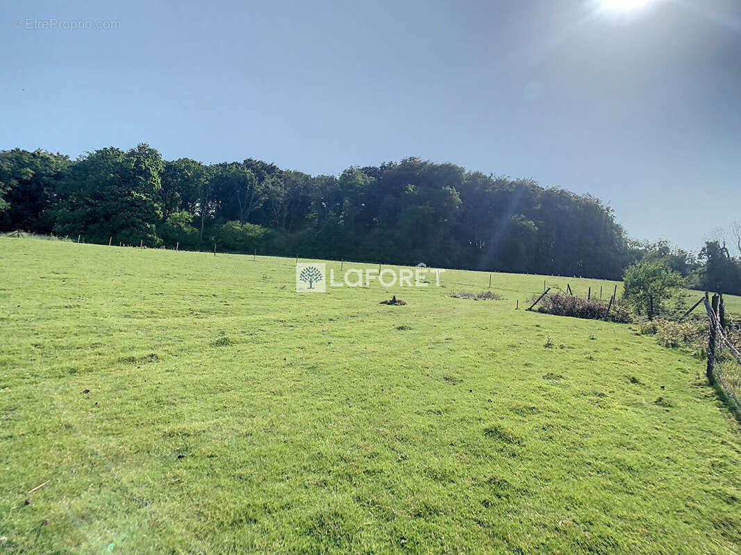 Terrain à BEC-DE-MORTAGNE