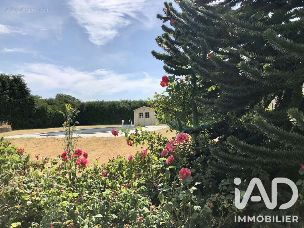 Photo 4 - Maison à LE HOUSSEAU-BRETIGNOLLES