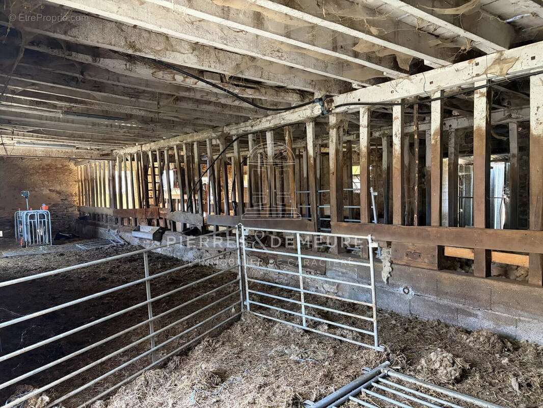 Fermette et ses 1400 m² de dépendances sur 5 hectares - photo 13