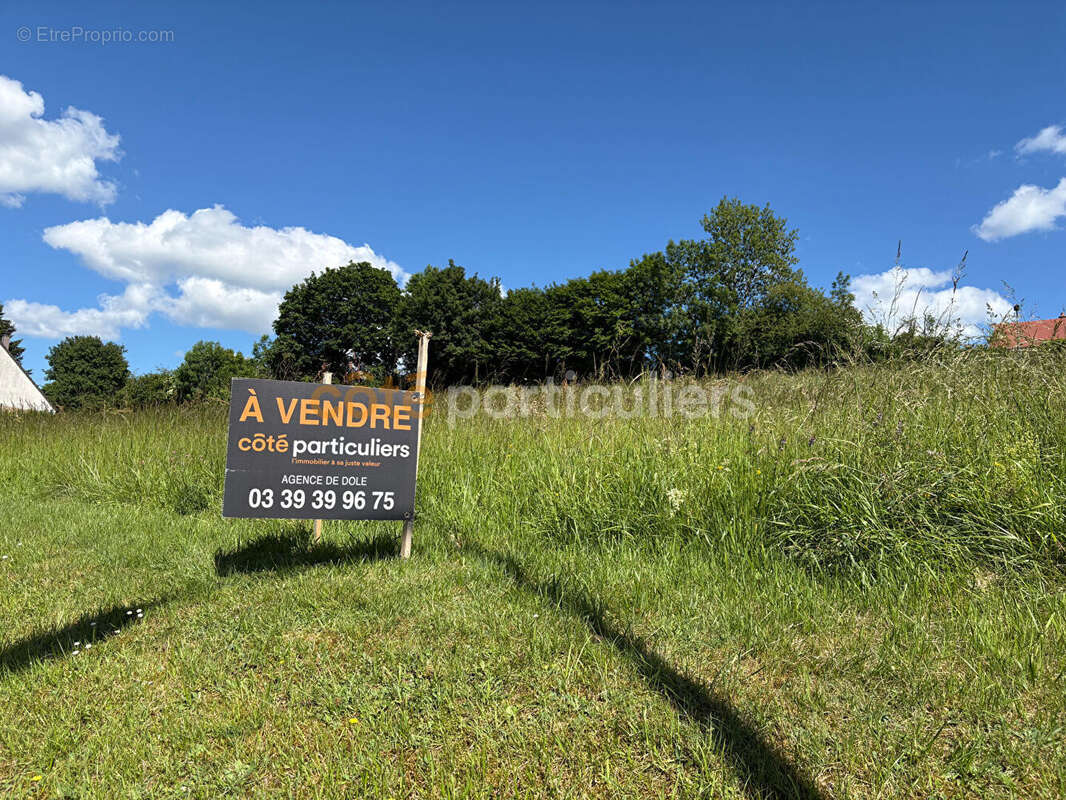 Terrain à ROCHEFORT-SUR-NENON
