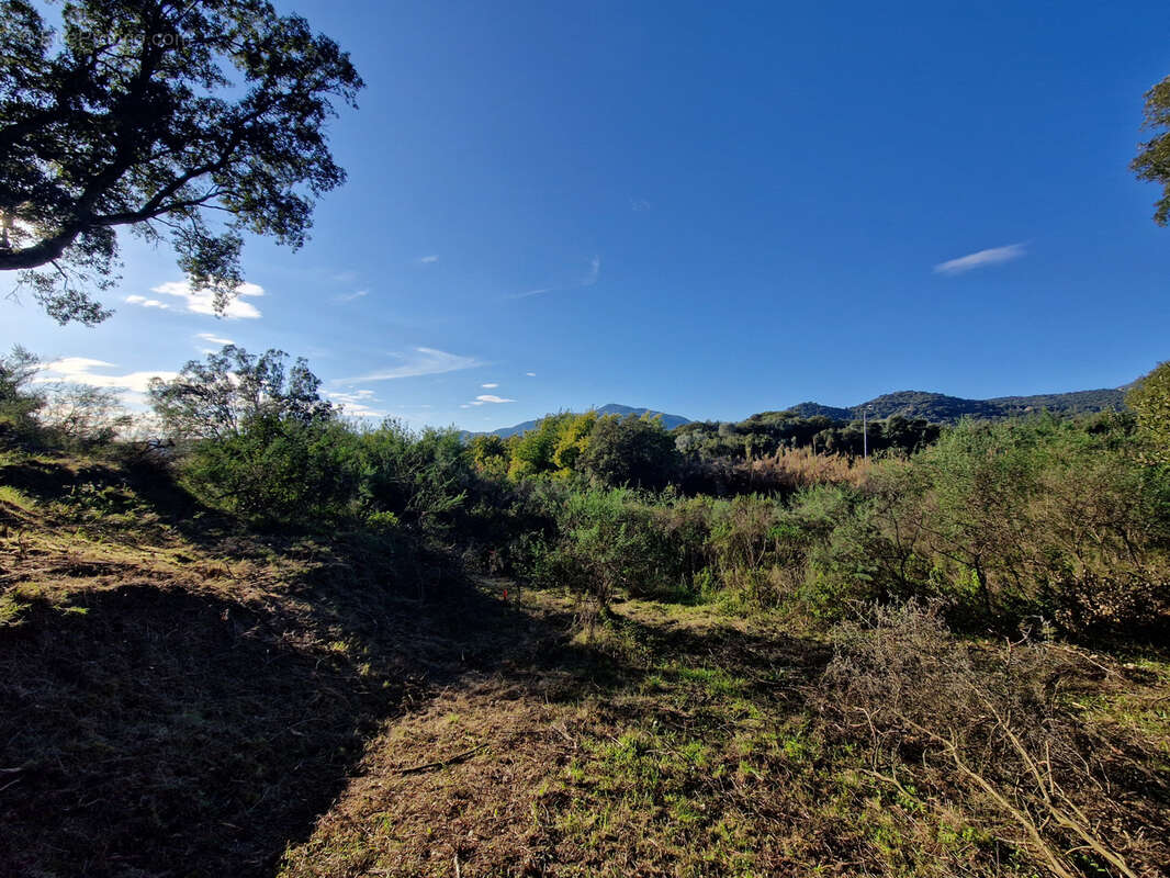 Appartement à AJACCIO