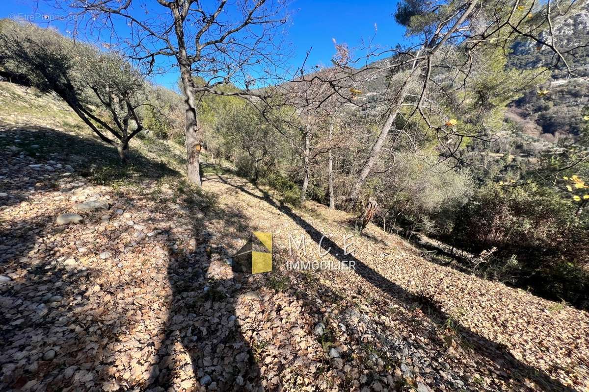 Terrain à CASTAGNIERS