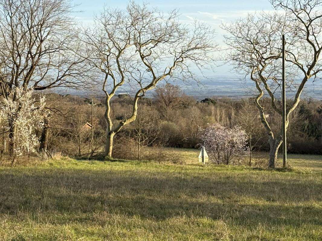 Terrain à LABECEDE-LAURAGAIS