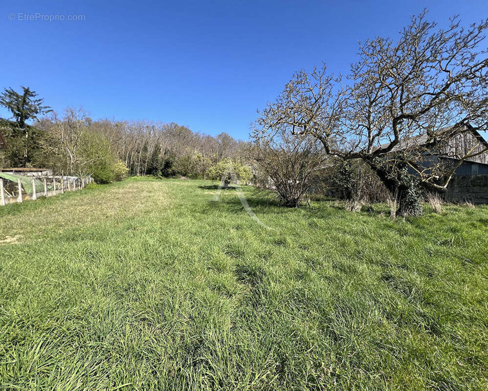 Terrain à CHISSAY-EN-TOURAINE