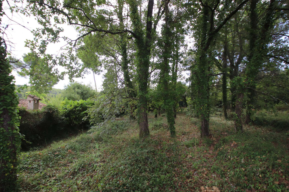 Terrain à SAINT-PAUL