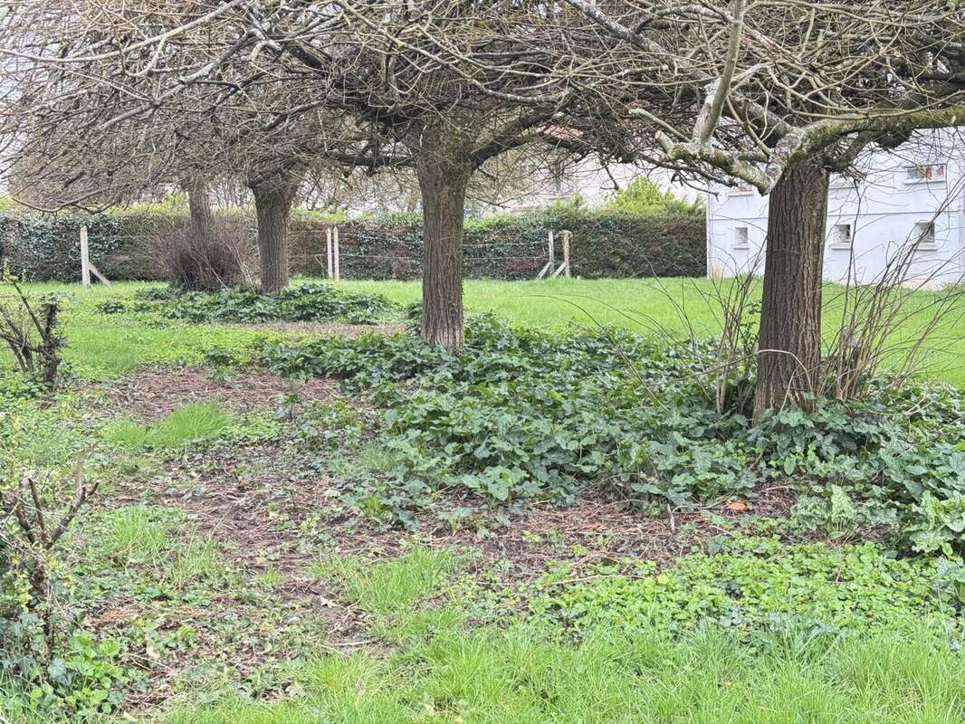 Terrain à SAINTES