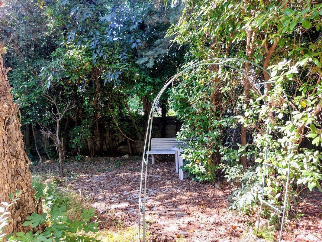 Jardin - Maison à MONTPELLIER
