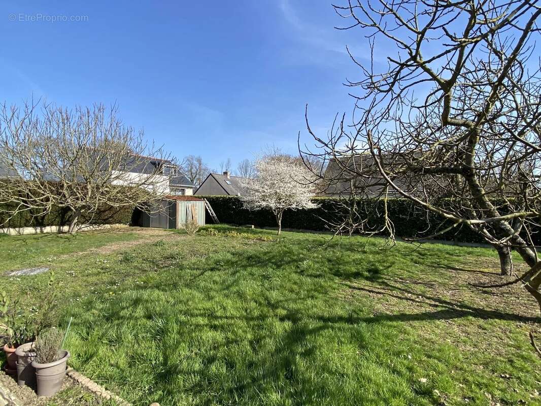 Maison à MONTREUIL-JUIGNE