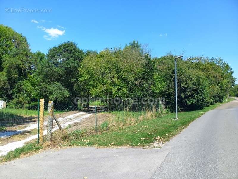 Terrain à LIESSE-NOTRE-DAME