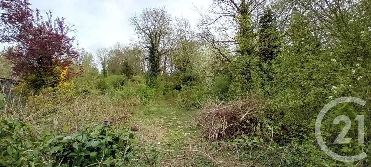 Terrain à PERONNE