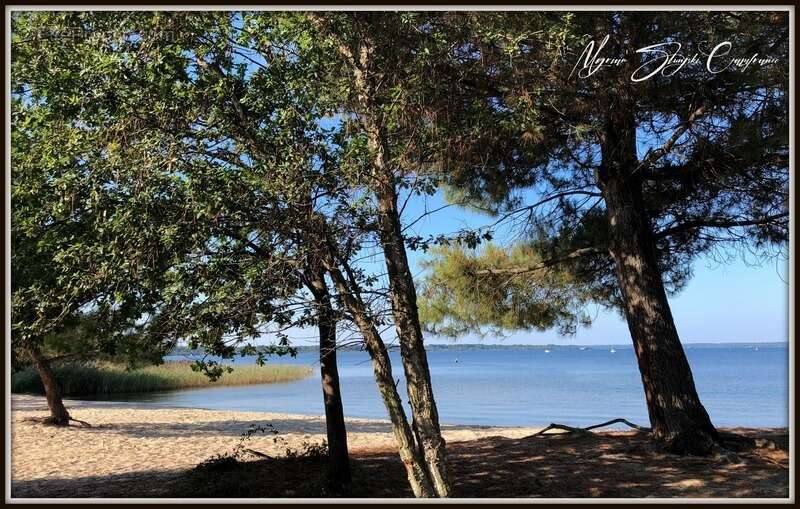 Maison à PARENTIS-EN-BORN