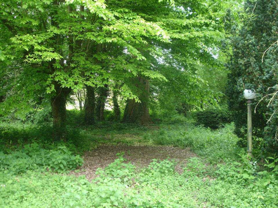 Terrain à TOURNAN-EN-BRIE