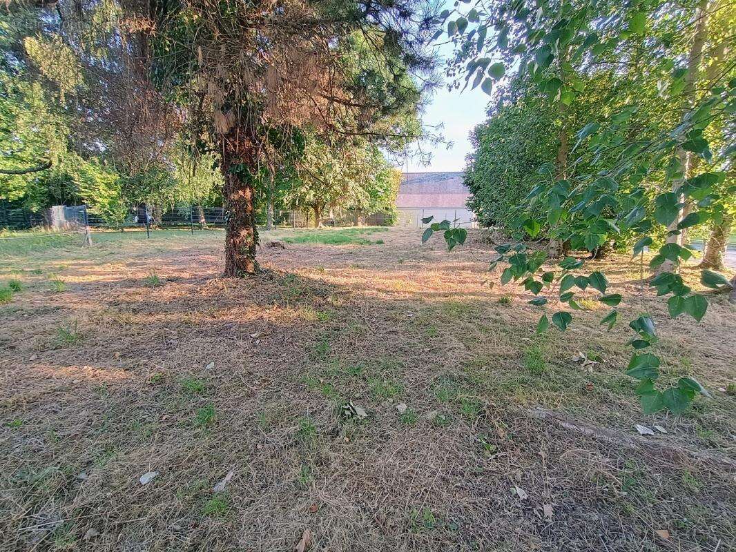 Terrain à Batir de 590 m2, ombragé - photo 4