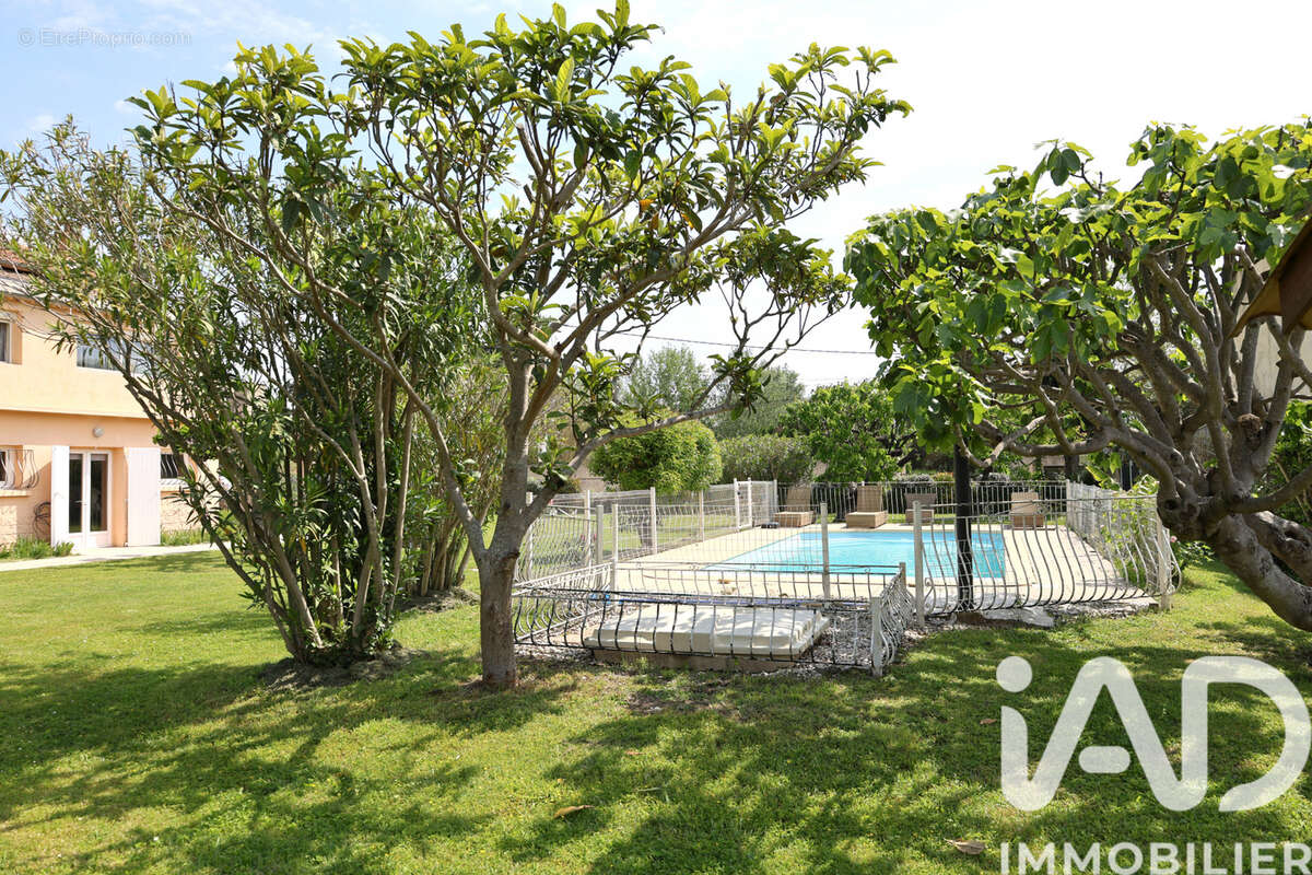 Photo 3 - Maison à BEDARRIDES