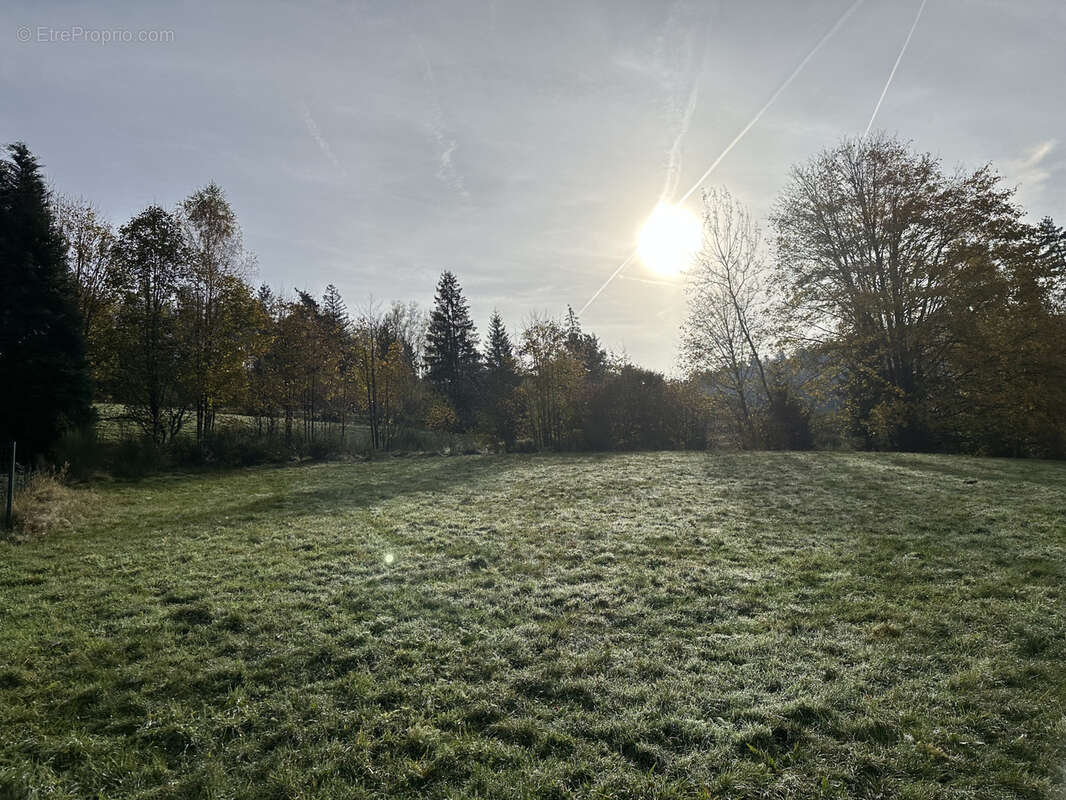 Terrain à GERARDMER