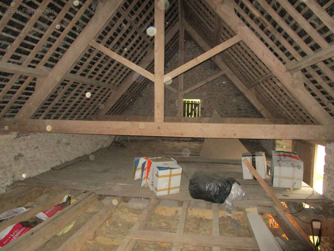Maison d’habitation avec Gite, Atelier, Hangar, Garage, Abri Mouton et Terrain de 5,197m2. - photo 23