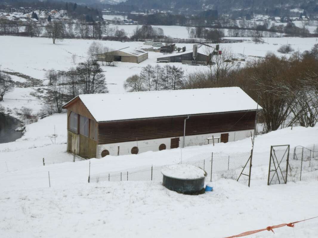 RUPT SUR MOSELLE (88)A vendre propriété T 10 pièces de 195m² sur sous sol + 4 box à chevaux +rucher, terrain 3.6 hectares - photo 5