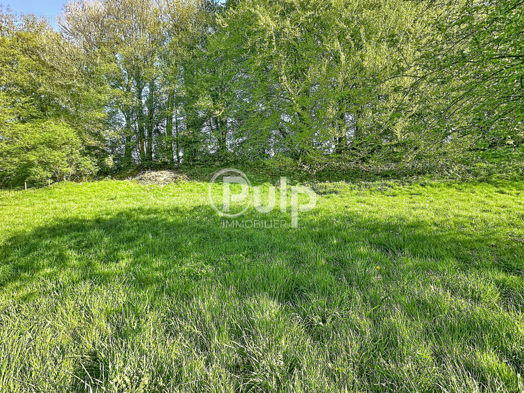 Fermette proche Hesdin - photo 19