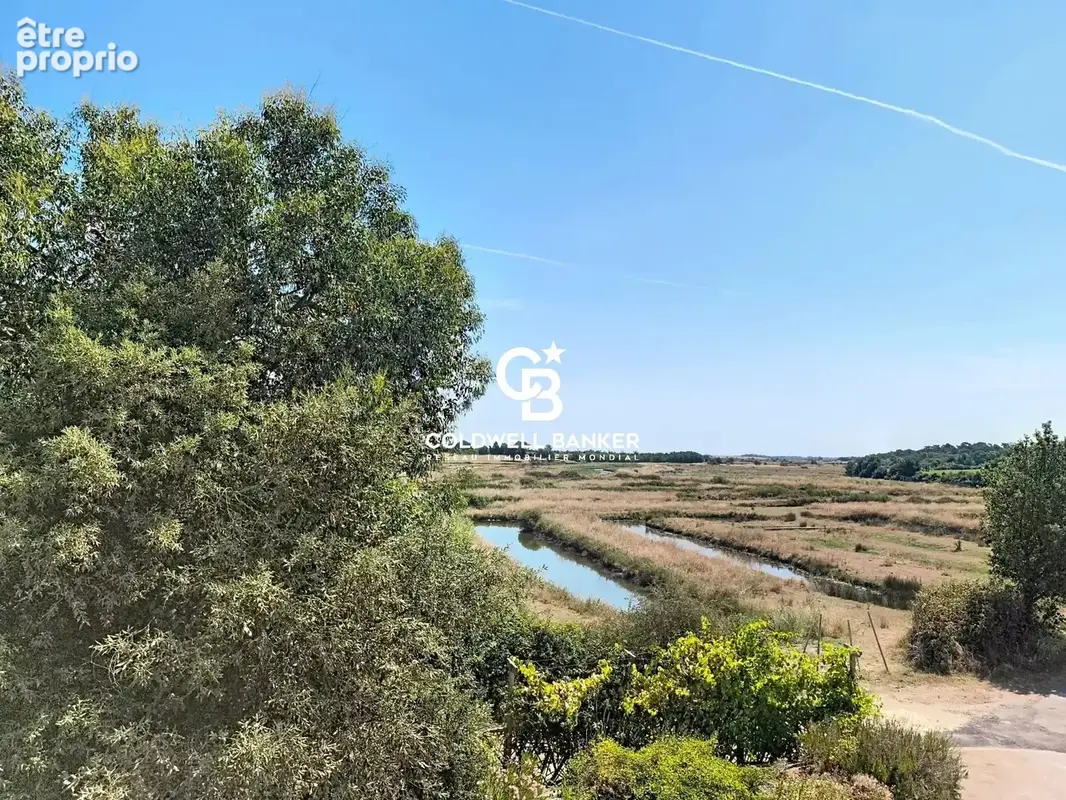 Plage du veillon - l'éloge de la nature & l'art de vivre au fil des marées - photo 4