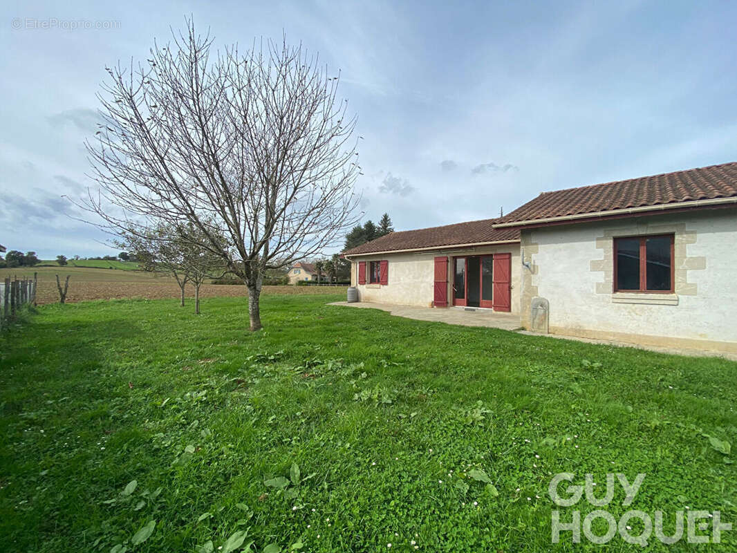 Ensemble immobilier de qualité. Deux maisons indépendantes avec garage, chalet et grands terrains à 5 minutes de Salies-de-Béarn - photo 4
