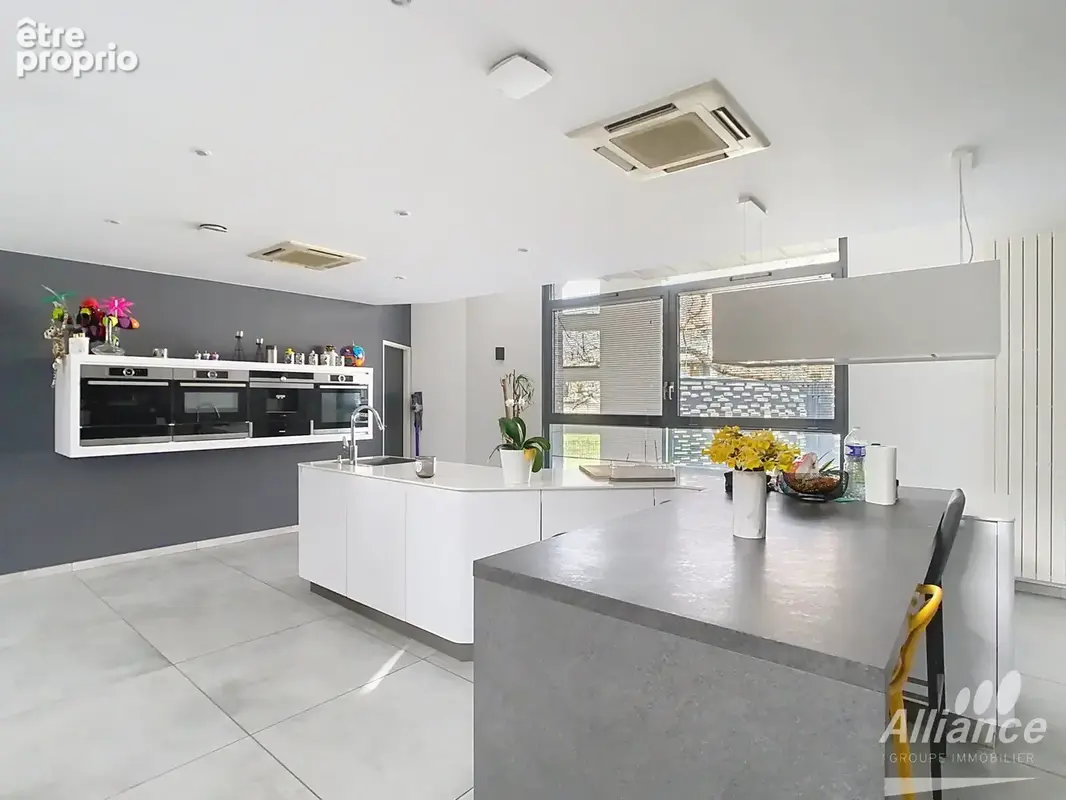 Maison coup de cœur DELLE - Plain-pied, 320 m2 hab., jardin, terrasse, piscine - photo 6