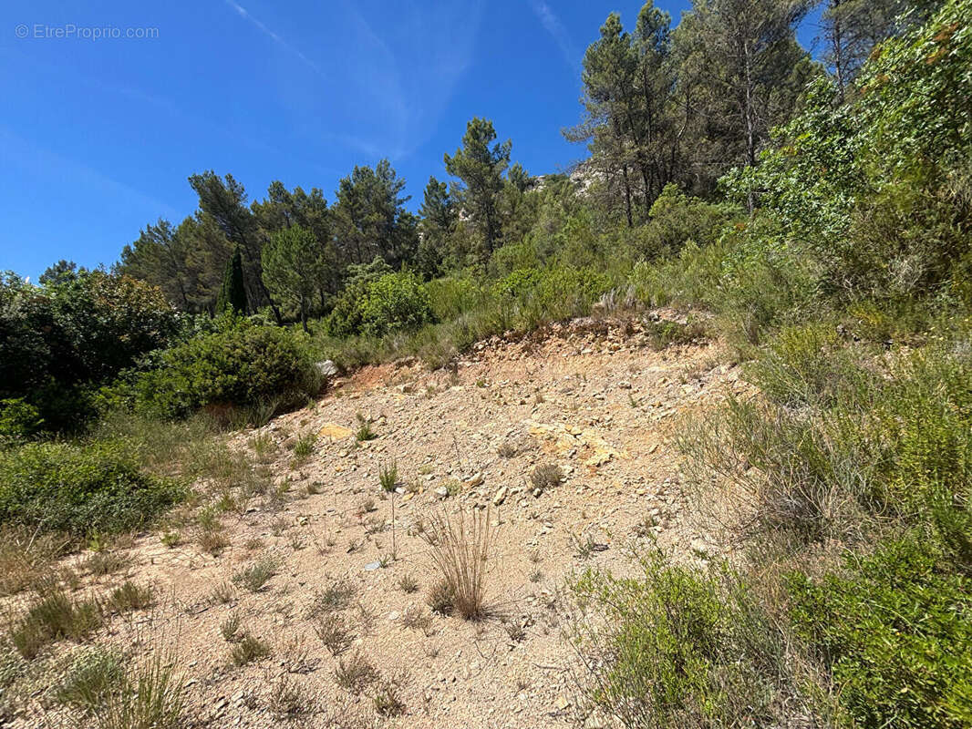 Terrain constructible PERMIS ACCORDÉ 3522 m2 - photo 2