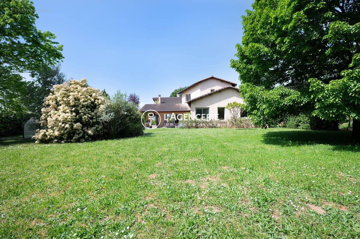 Maison à ALBI