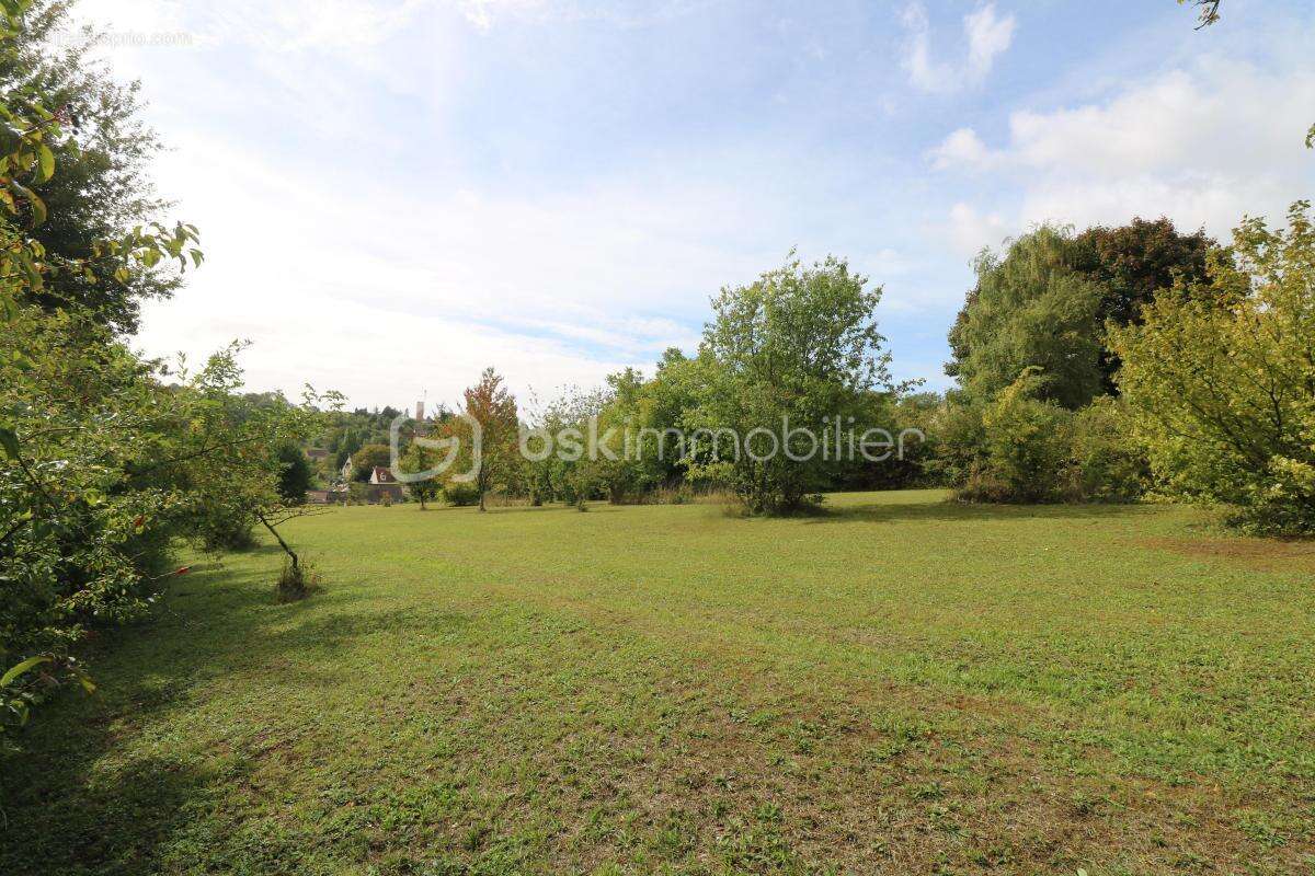 Terrain à LONGUEVILLE