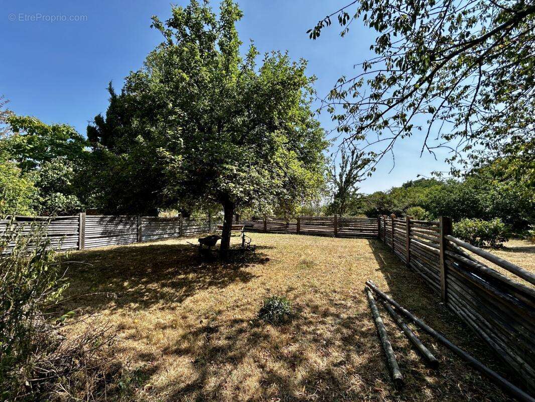 Authentique corps de ferme en pierre piscine et double garag - photo 21