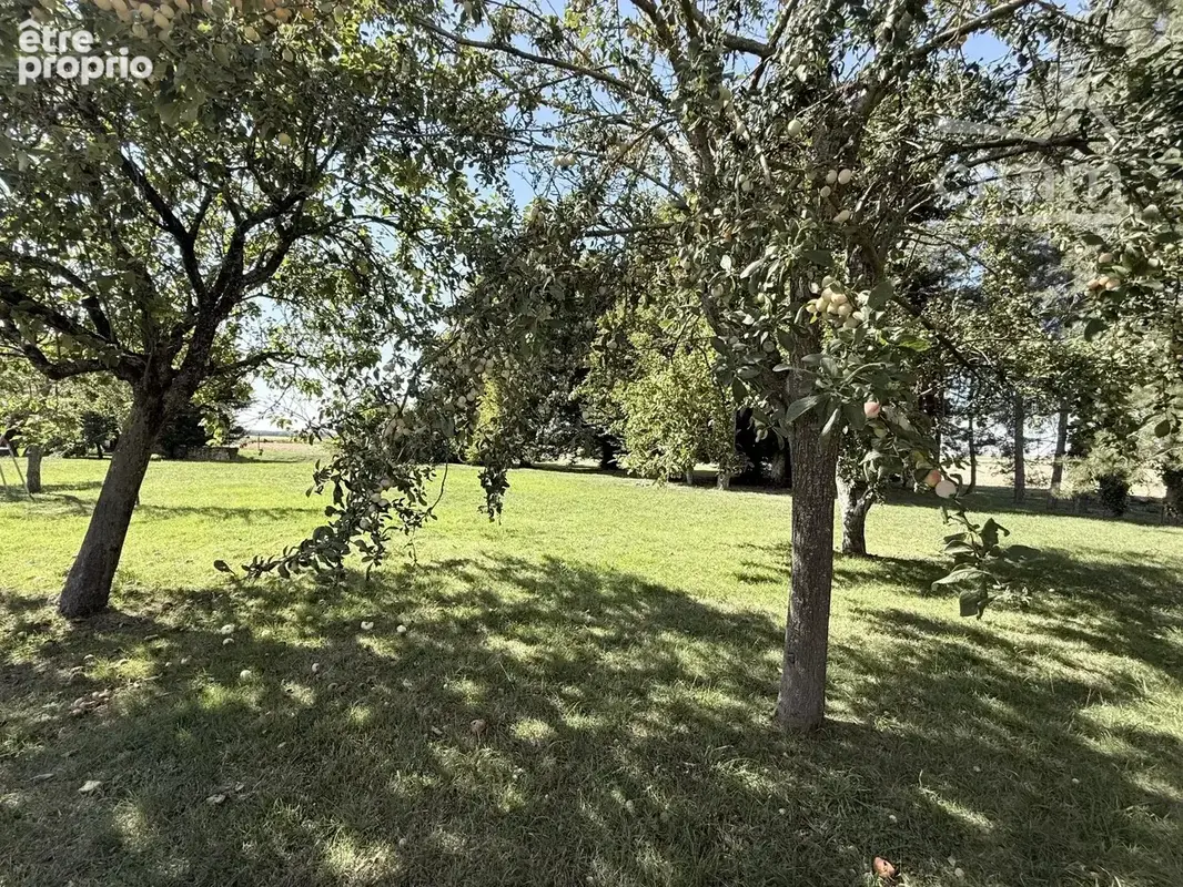Longère de caractère en pierre – 6 chambres – 2 suites en rez-de-chaussée – 6 000 m² – entre blois et vendôme - photo 5