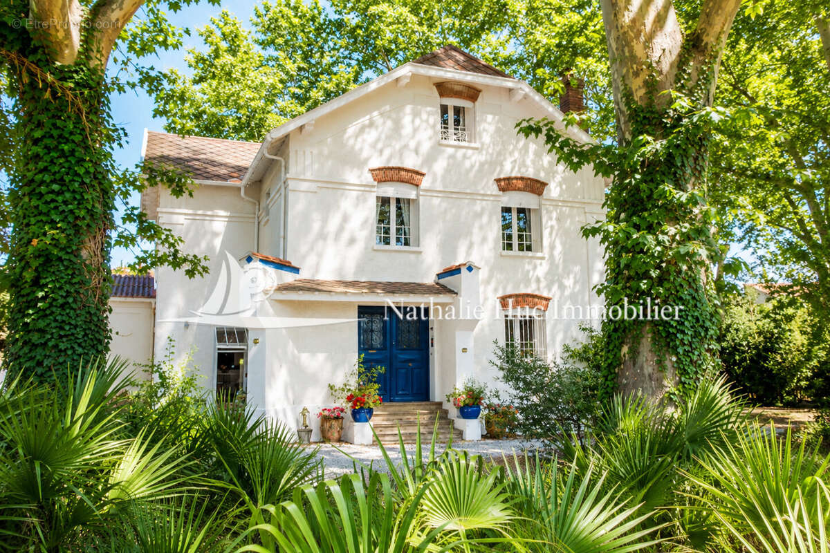 Maison 300 m² à Espira-De-L'agly  - photo 9