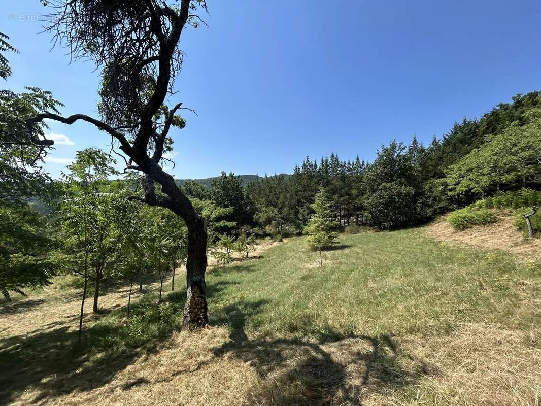 EXCLUSIVITÉ Maison en pierre 335m2 avec 1ha - 04 Alpes-de-Haute-Provence - photo 53
