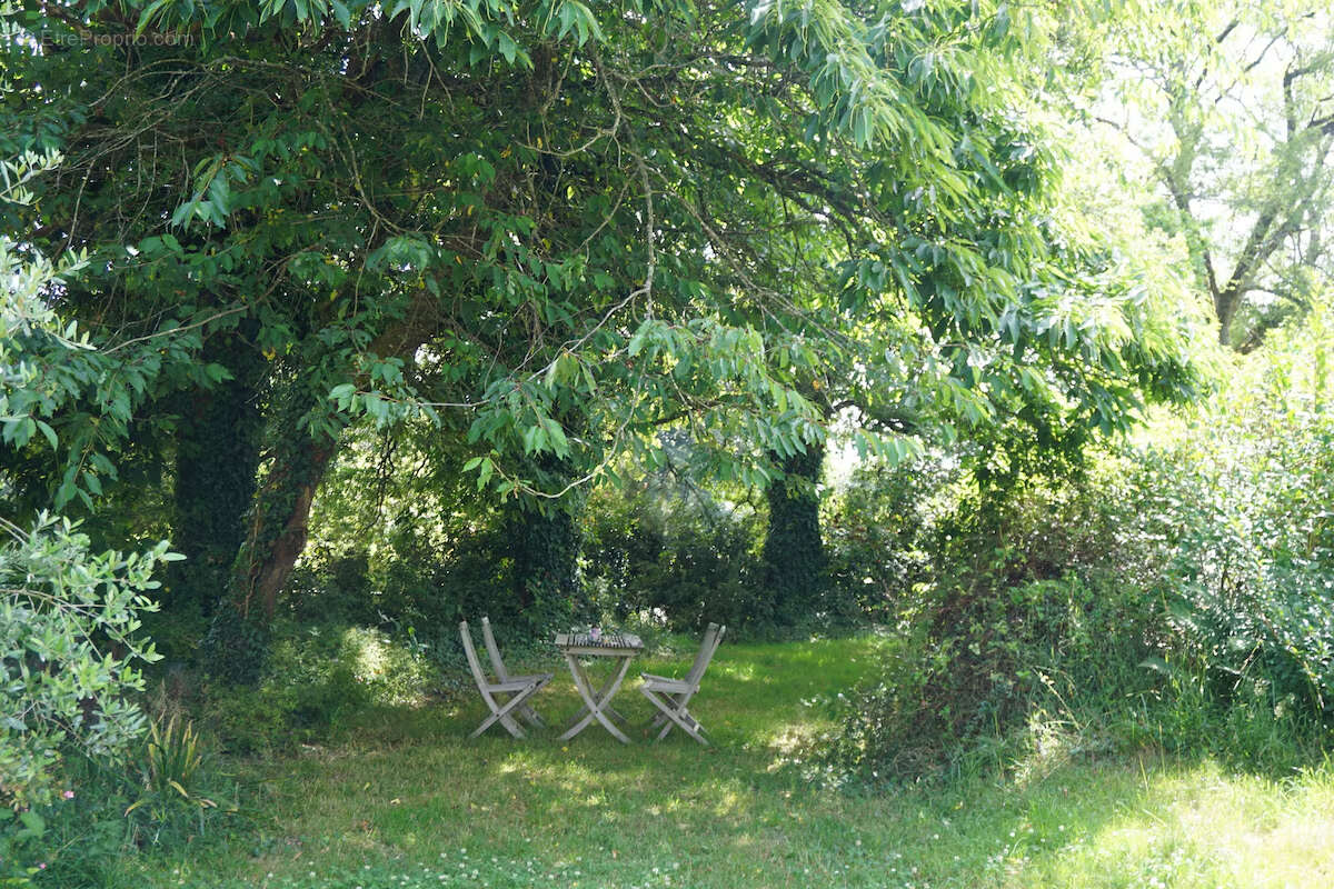 Longère en pierre avec gîtes - photo 9
