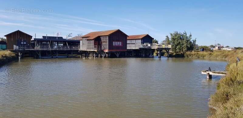 Commerce à MARENNES