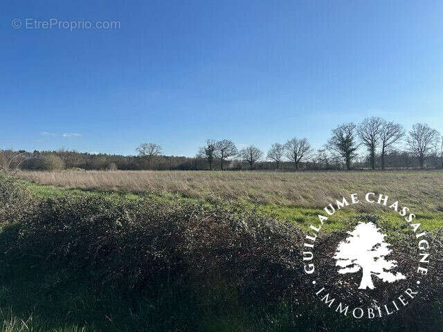 Maison à SAINT-ELOY-DE-GY