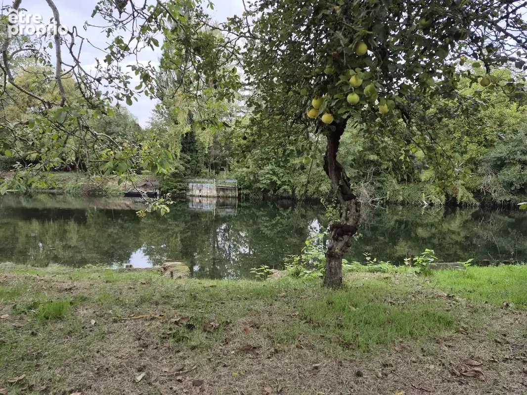 NAINTRÉ   Ensemble immobilier avec deux maisons, dépendances et accès au Clain - photo 19