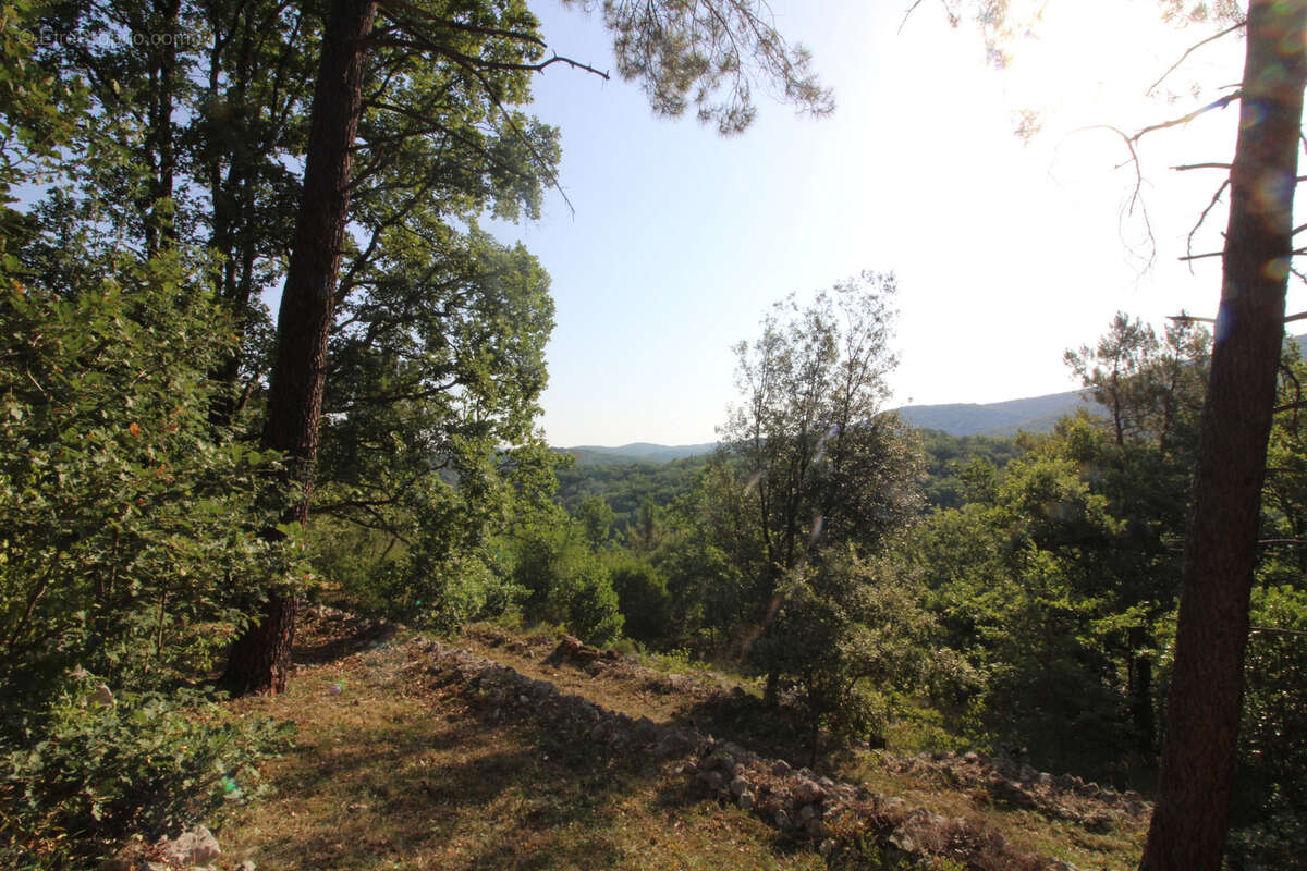 Charmante maison en bois de 98 m2 sur un terrain de 2800 m2. - photo 45