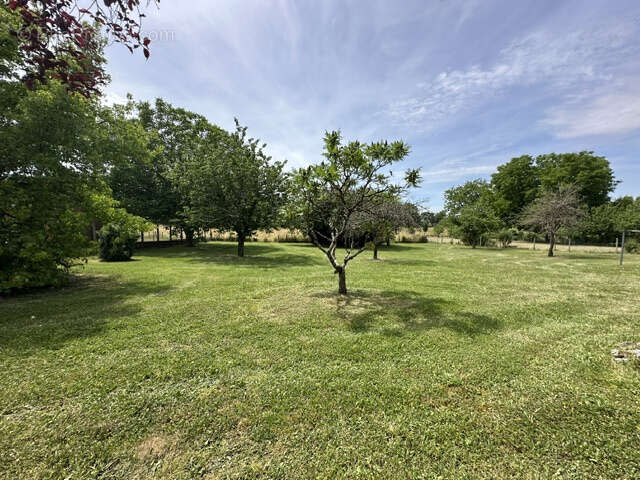 Maison 68 m² à Cervon  - photo 16