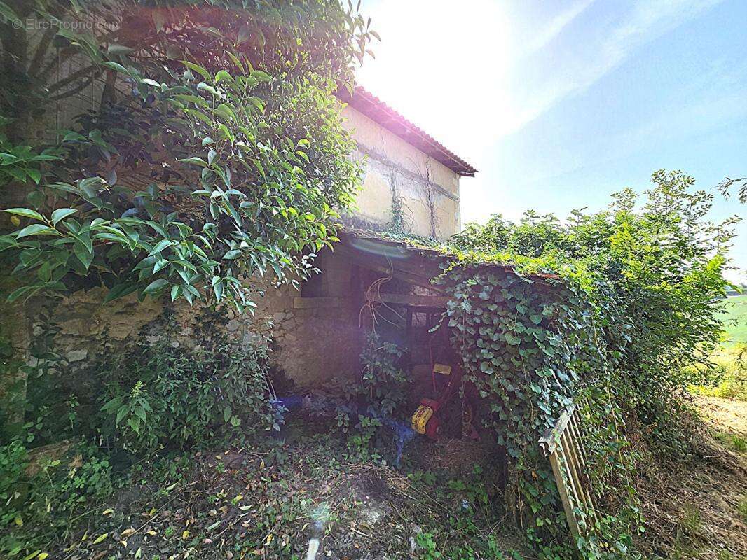 Maison à MONTFORT-EN-CHALOSSE