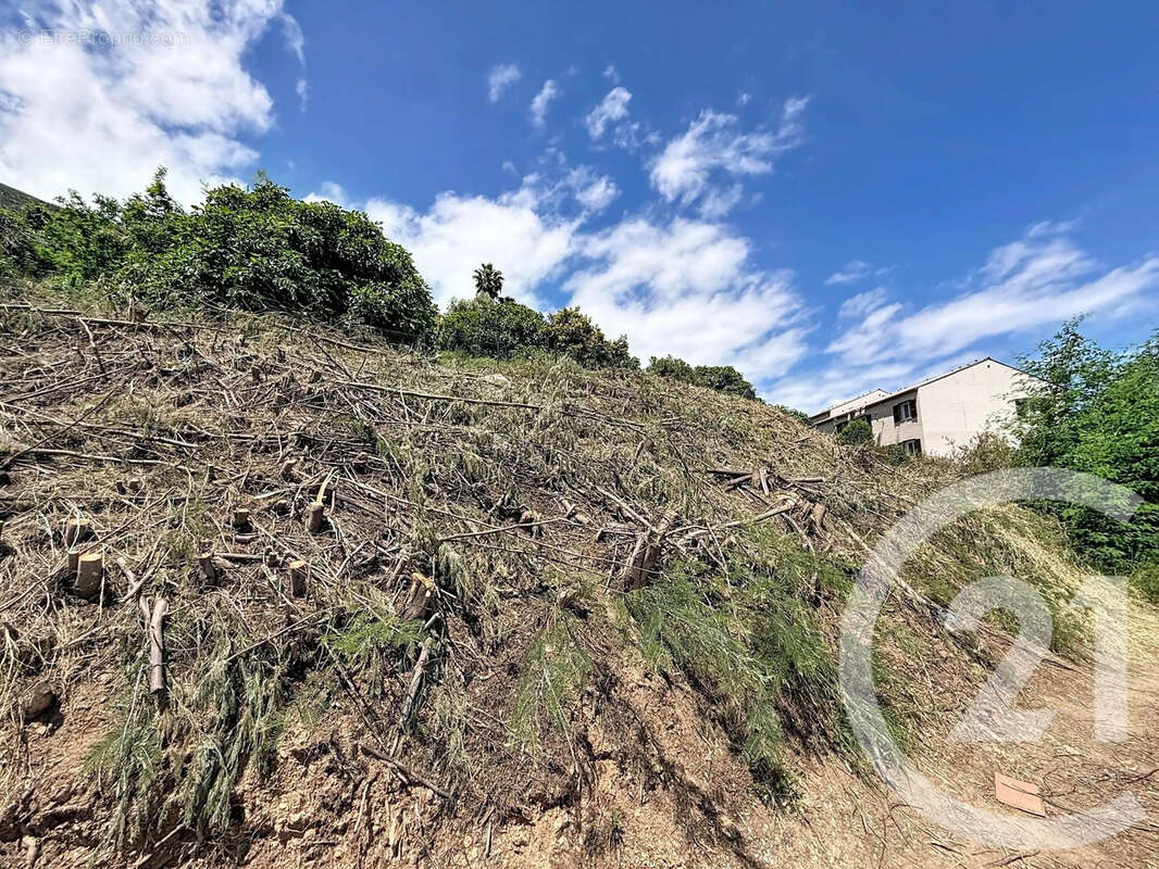Terrain à CERVIONE