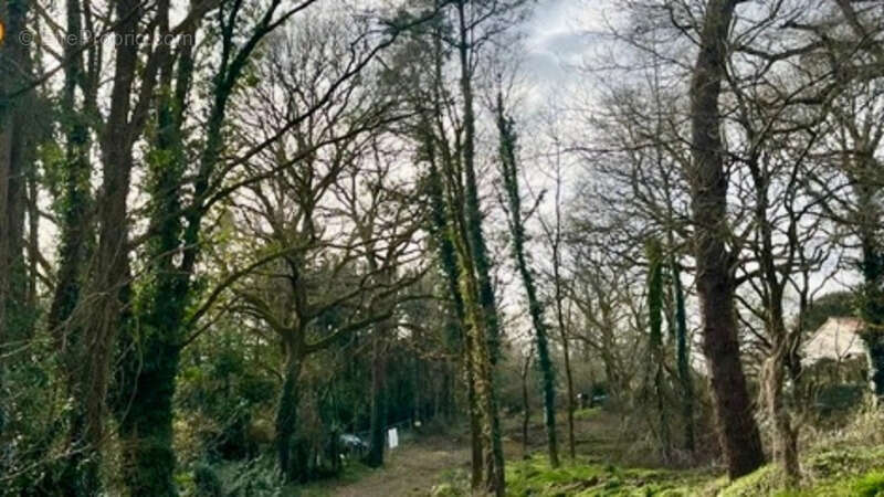 Maison à LA ROCHE-SUR-YON