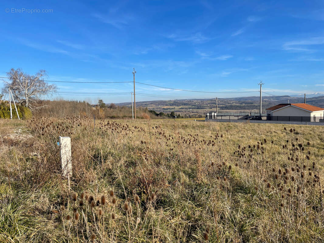 Terrain à LA MOTTE-DE-GALAURE
