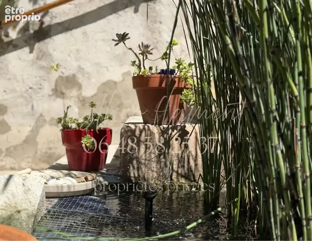 Maison de ville 226 m2 avec jardin, piscine, forage, garage - photo 7
