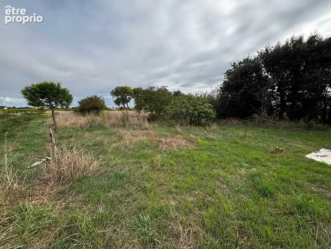 Belle Longère Oléronaise avec Hangar de 176 m² sur 2 691 m² de Terrain - photo 15