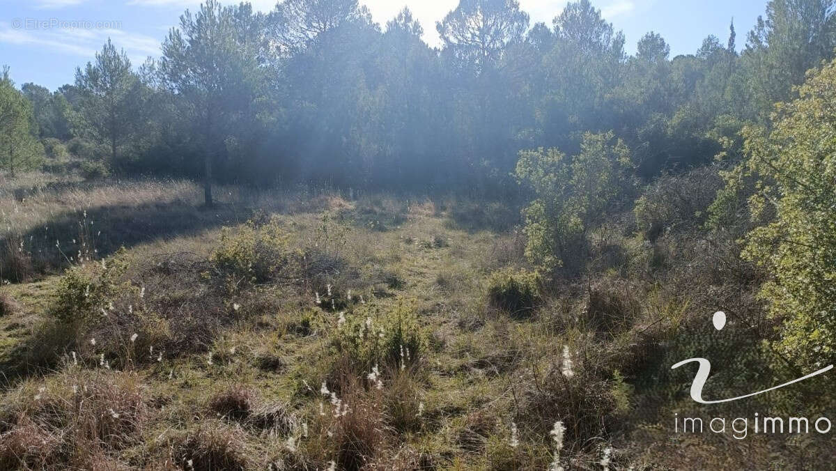 Vente terrain agricole - photo 6